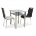 Virtuves galds MADRAS 90X60